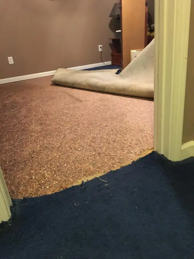 Carpet pad removal revealing water damage during Drying & Dehumidification in Kingsland