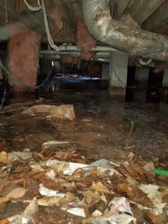 Crawl space flood assessment for Commercial Water Damage Restoration in Kingsland